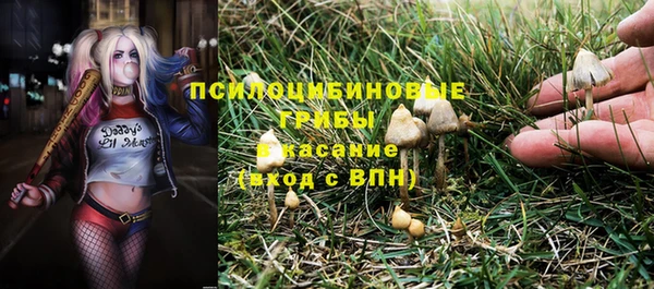 прущие крисы Алексин