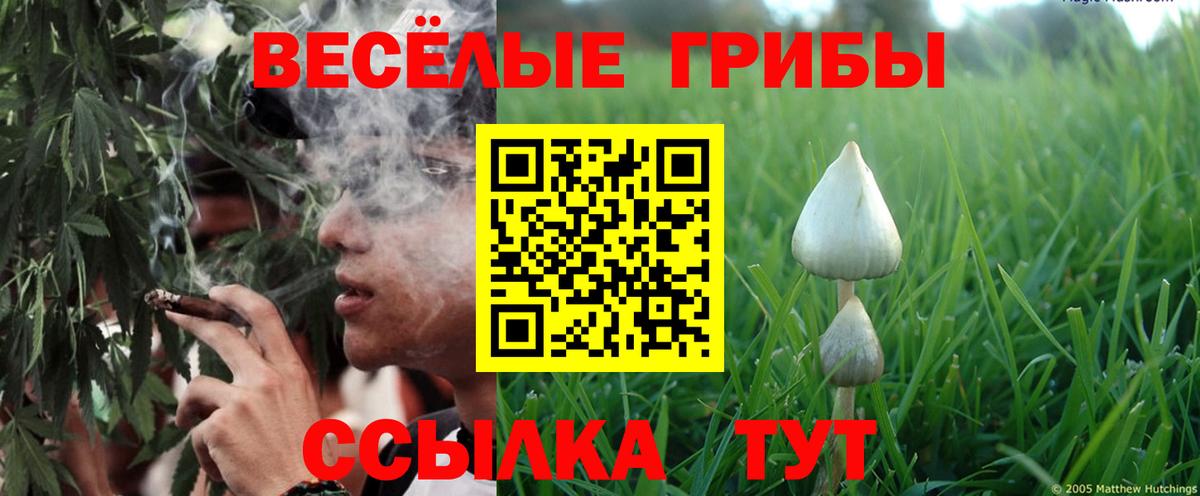 Галлюциногенные грибы прущие грибы  Вход с VPN  Красноармейск 