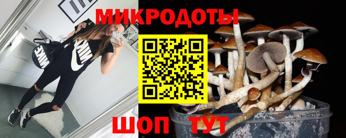 Псилоцибиновые грибы GOLDEN TEACHER Красноармейск